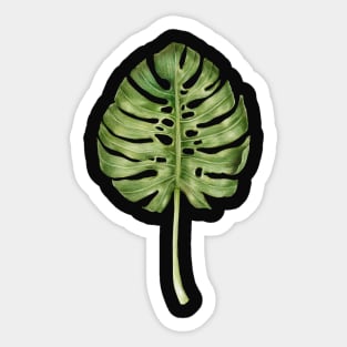 Monstera leaf illustration Sticker